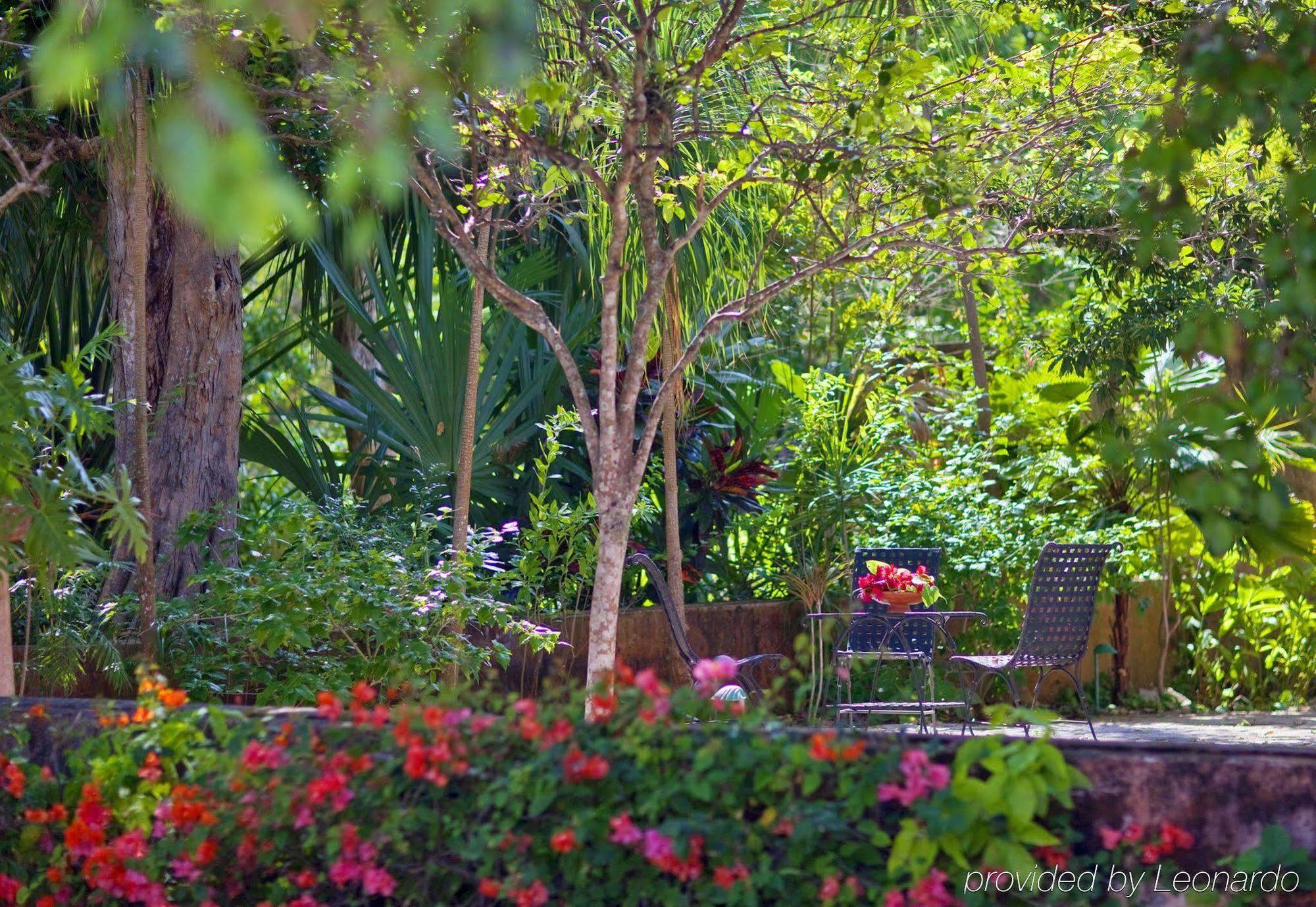 Hacienda Santa Rosa De Lima Hotel Bagian luar foto